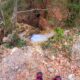 041 Torrent Monnera Castell Areny Rocjumper