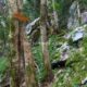 042 Via Ferrata Calera Ramales Victoria Rocjumper