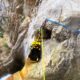 046 Gorgues Canals Sadernes Rocjumper