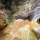047 Gorgues Canals Sadernes Rocjumper