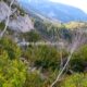 048 Via Ferrata Pared Iserias Canfranc Estacion Rocjumper