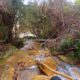 052 Torrent Monnera Castell Areny Rocjumper