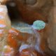 077 Gorgues Canals Sadernes Rocjumper