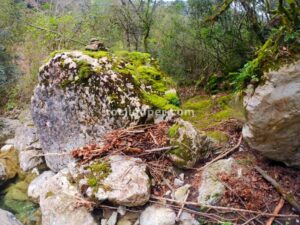 Retorno - Gorgues de les Canalas - Sadernes - RocJumper