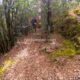081 Gorgues Canals Sadernes Rocjumper