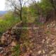 002 Barranc Estret Estany Obert Pinyana Rocjumper