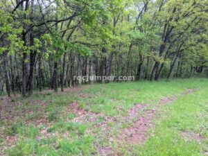 Empieza el campo a través - Barranc Llau de Sant Feliu - Estavill - RocJumper