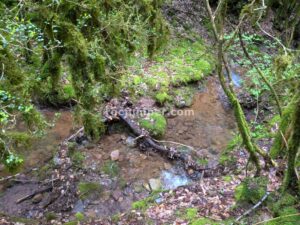 Inicio - Barranc Llau de Sant Feliu - Estavill - RocJumper
