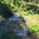 004 Engorjat Fou Sant Marti Tous Rocjumper