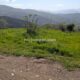 005 Barranc Llau Llavaneres Estavill Rocjumper