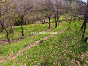 Inicio - Barranc Estret de l'Estany Obert - Pinyana - RocJumper