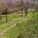 006 Barranc Estret Estany Obert Pinyana Rocjumper