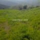 006 Barranc Llau Llavaneres Estavill Rocjumper