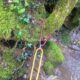 006 Barranc Llau Sant Feliu Estavill Rocjumper
