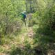 008 Barranc Llau Llavaneres Estavill Rocjumper