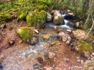 Inicio - Barranc de la Vinyassa - Cèrvoles - RocJumper