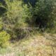 009 Barranc Llau Llavaneres Estavill Rocjumper