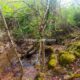 009 Barranc Vinyassa Cervoles Rocjumper