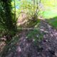 009 Rec Coma Rec Toll Ciuret Rocjumper