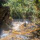 011 Barranc Llau Llavaneres Estavill Rocjumper