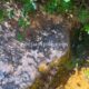 011 Engorjat Fou Sant Marti Tous Rocjumper