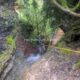 013 Barranc Llau Sant Feliu Estavill Rocjumper