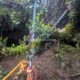 014 Barranc Llau Sant Feliu Estavill Rocjumper