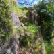 014 Rec Coma Rec Toll Ciuret Rocjumper