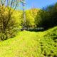 015 Torrent Bia Rec Toll Curet Rocjumper