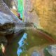 017 Engorjat Fou Sant Marti Tous Rocjumper