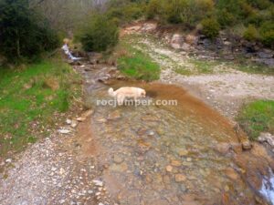 Barranc de les Forques - Barranc del Solà - Astell - RocJumper