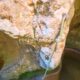 018 Engorjat Fou Sant Marti Tous Rocjumper