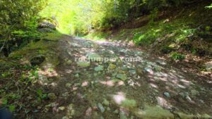Pista - Rec de la Coma + Rec del Toll - Ciuret - RocJumper