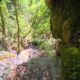 028 Rec Coma Rec Toll Ciuret Rocjumper