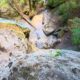 029 Rec Coma Rec Toll Ciuret Rocjumper