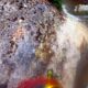 031 Barranc Vinyassa Cervoles Rocjumper
