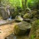 033 Torrent Bia Rec Toll Curet Rocjumper