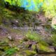 034 Torrent Bia Rec Toll Curet Rocjumper