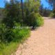 035 Engorjat Fou Sant Marti Tous Rocjumper