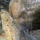 037 Barranc Estret Estany Obert Pinyana Rocjumper