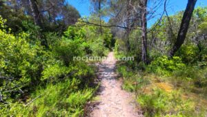 Sendero Retorno - Engorjat de la Fou - Sant Martí de Tous - RocJumper