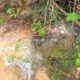 040 Barranc Llau Llavaneres Estavill Rocjumper