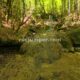 043 Torrent Bia Rec Toll Curet Rocjumper