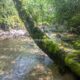 044 Barranc Llau Llavaneres Estavill Rocjumper