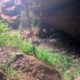 045 Barranc Llau Sant Feliu Estavill Rocjumper