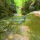 045 Torrent Bia Rec Toll Curet Rocjumper