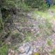 046 Barranc Estret Estany Obert Pinyana Rocjumper