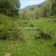 048 Barranc Estret Estany Obert Pinyana Rocjumper