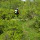 049 Barranc Estret Estany Obert Pinyana Rocjumper