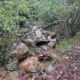 049 Barranc Llau Sant Feliu Estavill Rocjumper